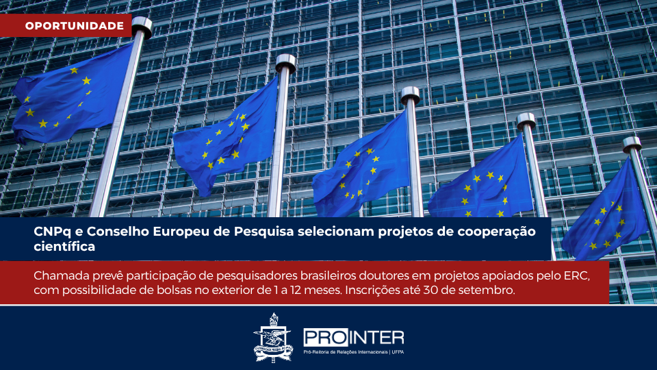 Foto da galeria de imagens: sem descrição informada.