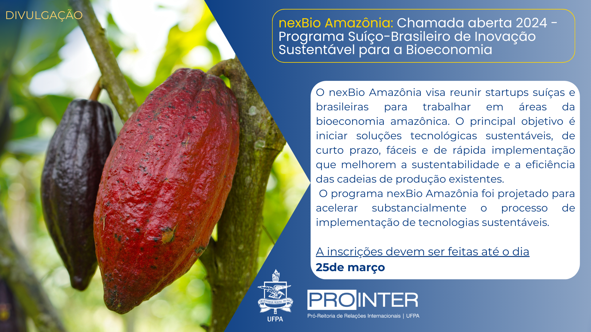 nexBio Amazônia Chamada aberta 2024 Programa Suíço-Brasileiro de Inovação Sustentável para a Bioeconomia