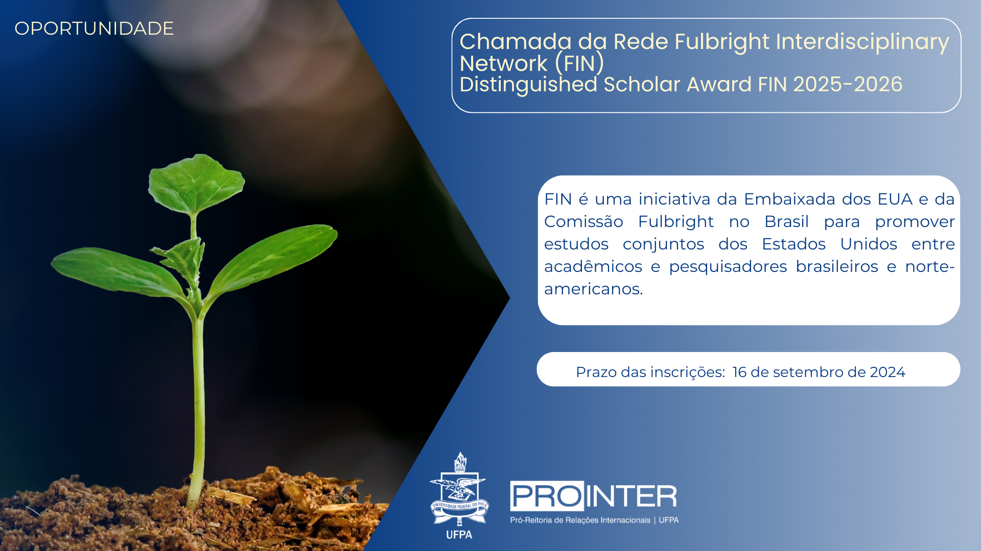 Chamada da Rede Fulbright Interdisciplinary Network (FIN) Distinguished Scholar Award da FIN 2025-2026