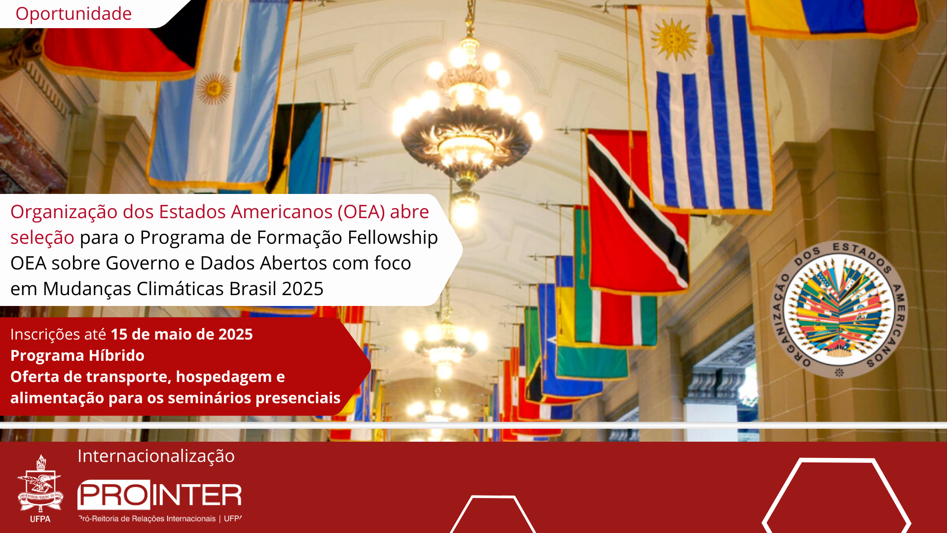 Organização dos Estados Americanos (OEA) abre seleção para o Programa de Formação Fellowship OEA sobre Governo e Dados Abertos com foco em Mudanças Climáticas Brasil 2025
