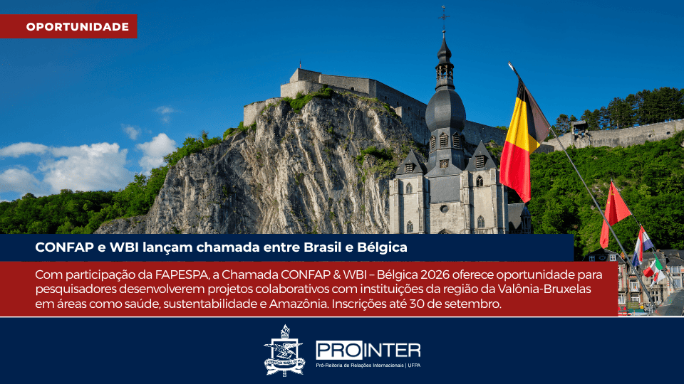 Foto da galeria de imagens: sem descrição informada.