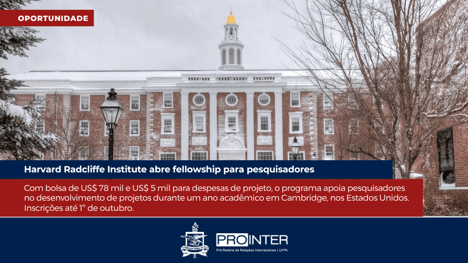 Foto da galeria de imagens: sem descrição informada.