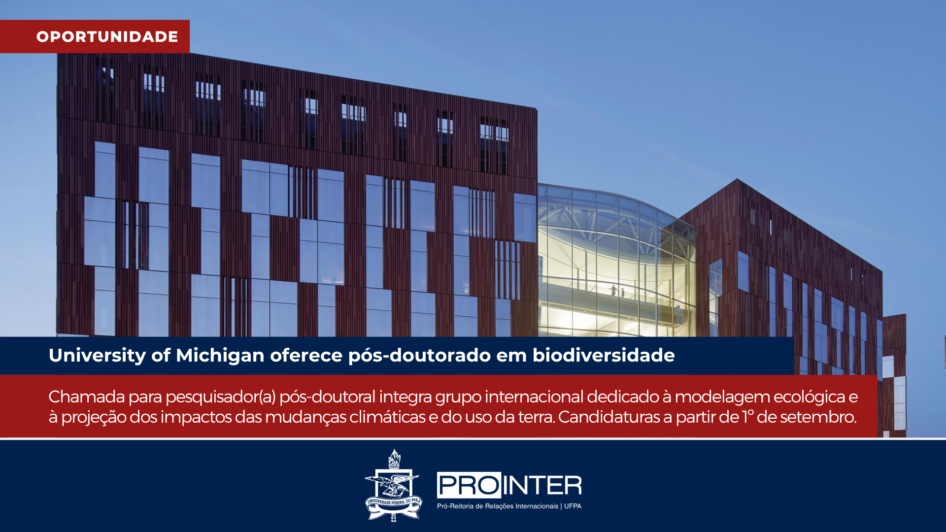 Foto da galeria de imagens: sem descrição informada.