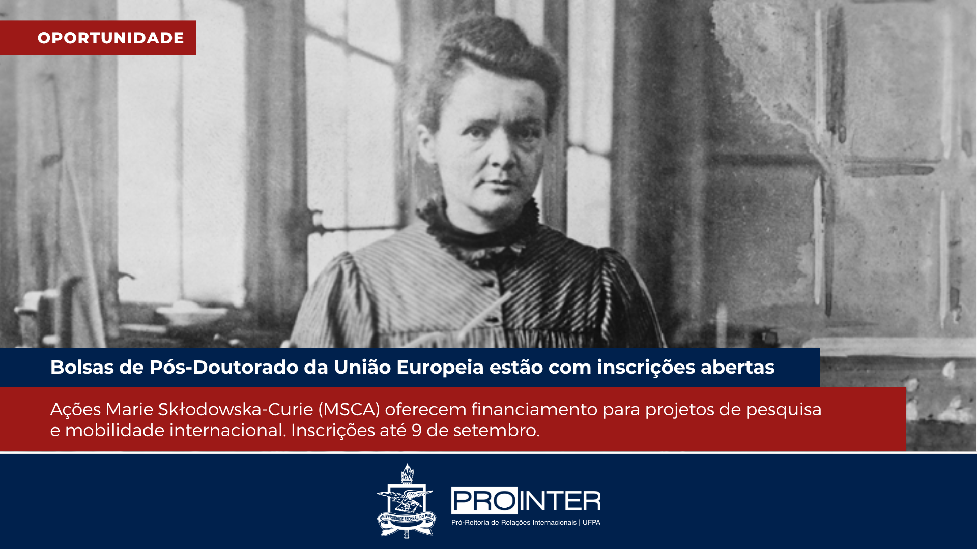 Foto da galeria de imagens: sem descrição informada.