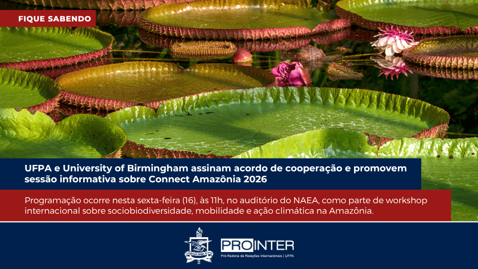 Foto da galeria de imagens: sem descrição informada.