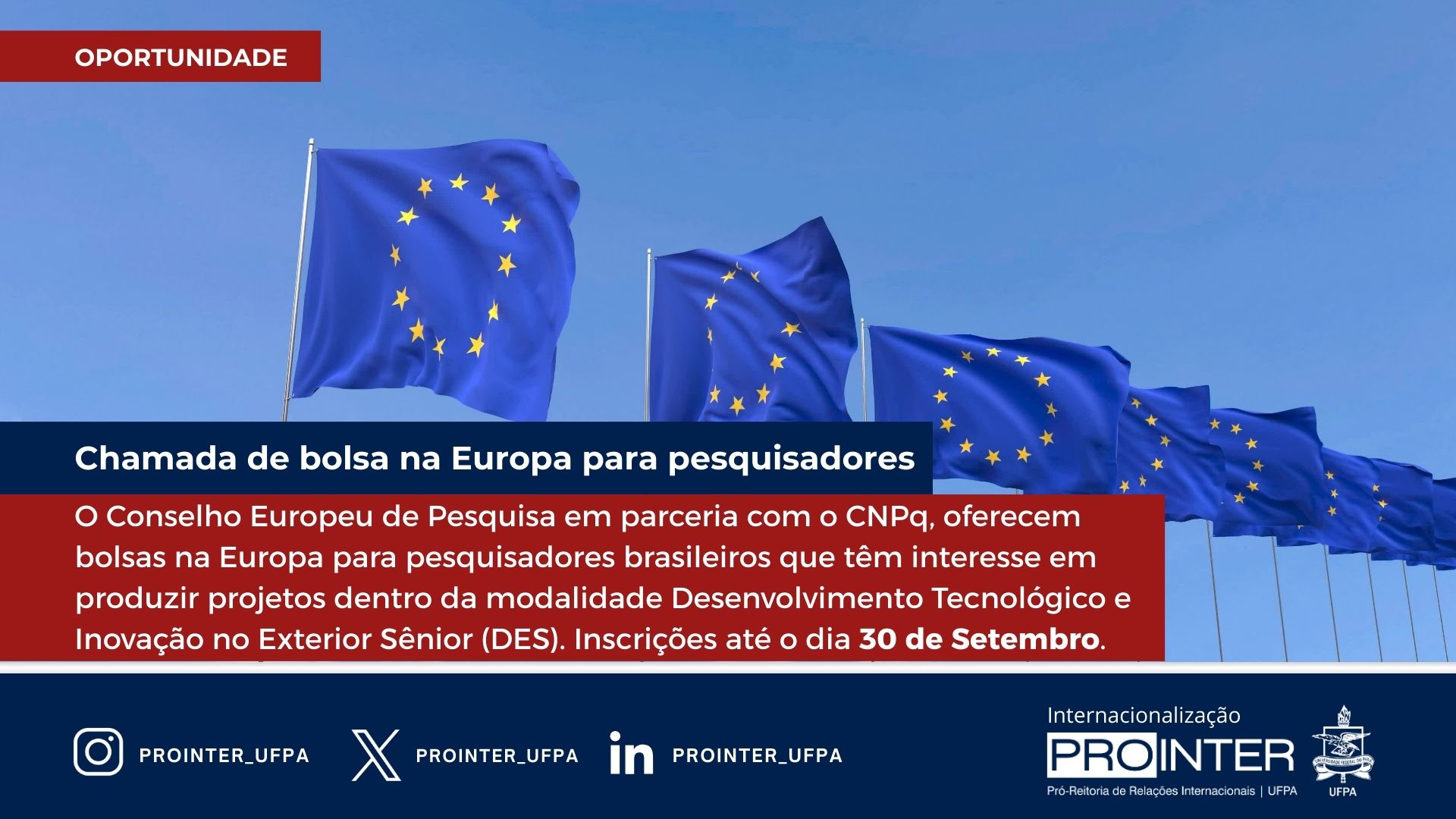 Foto da galeria de imagens: sem descrição informada.