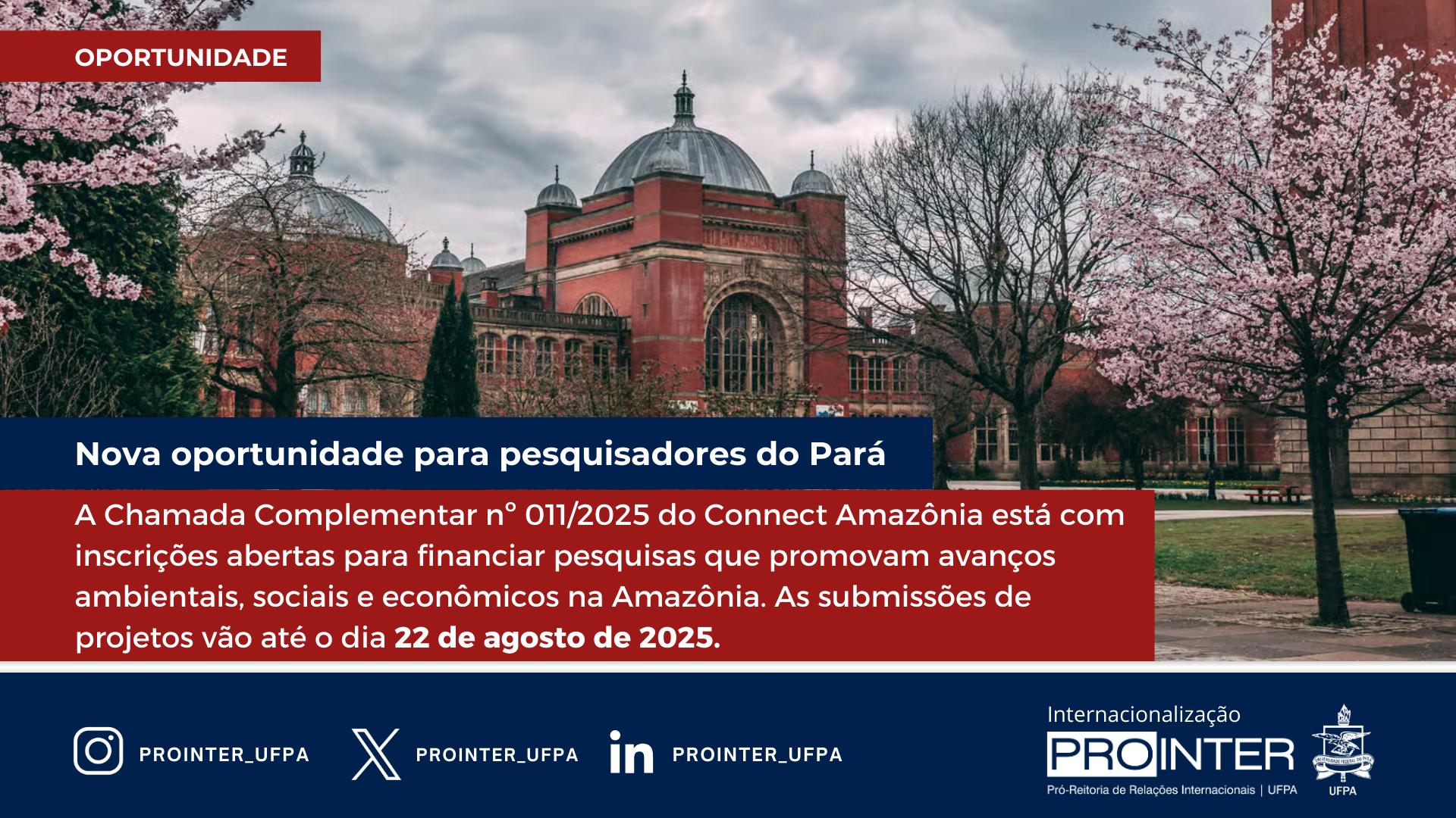 Nova oportunidade para pesquisadores de ICTs do Pará: edital complementar do Connect Amazônia está com inscrições abertas