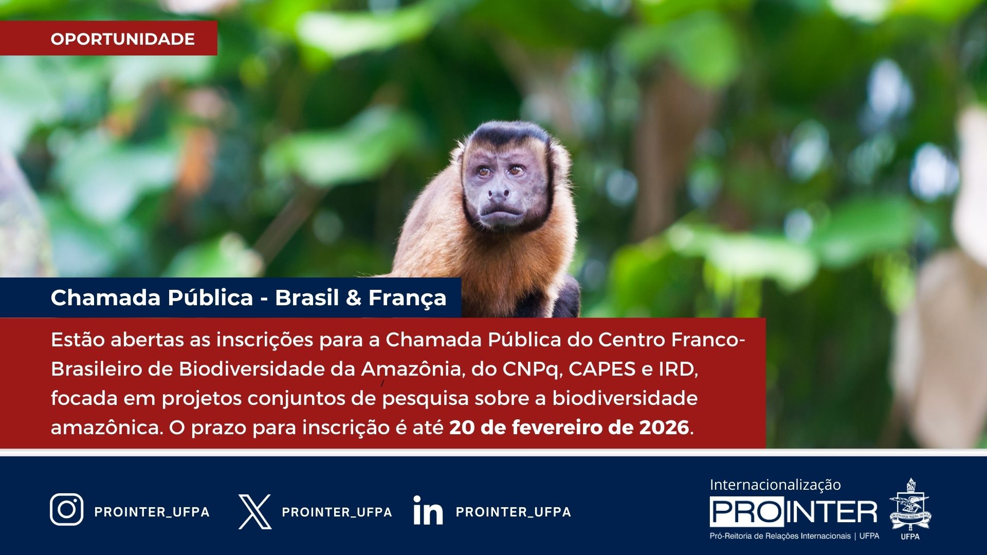 CNPq, CAPES e IRD lançam chamada internacional para financiar projetos de pesquisa sobre a biodiversidade amazônica