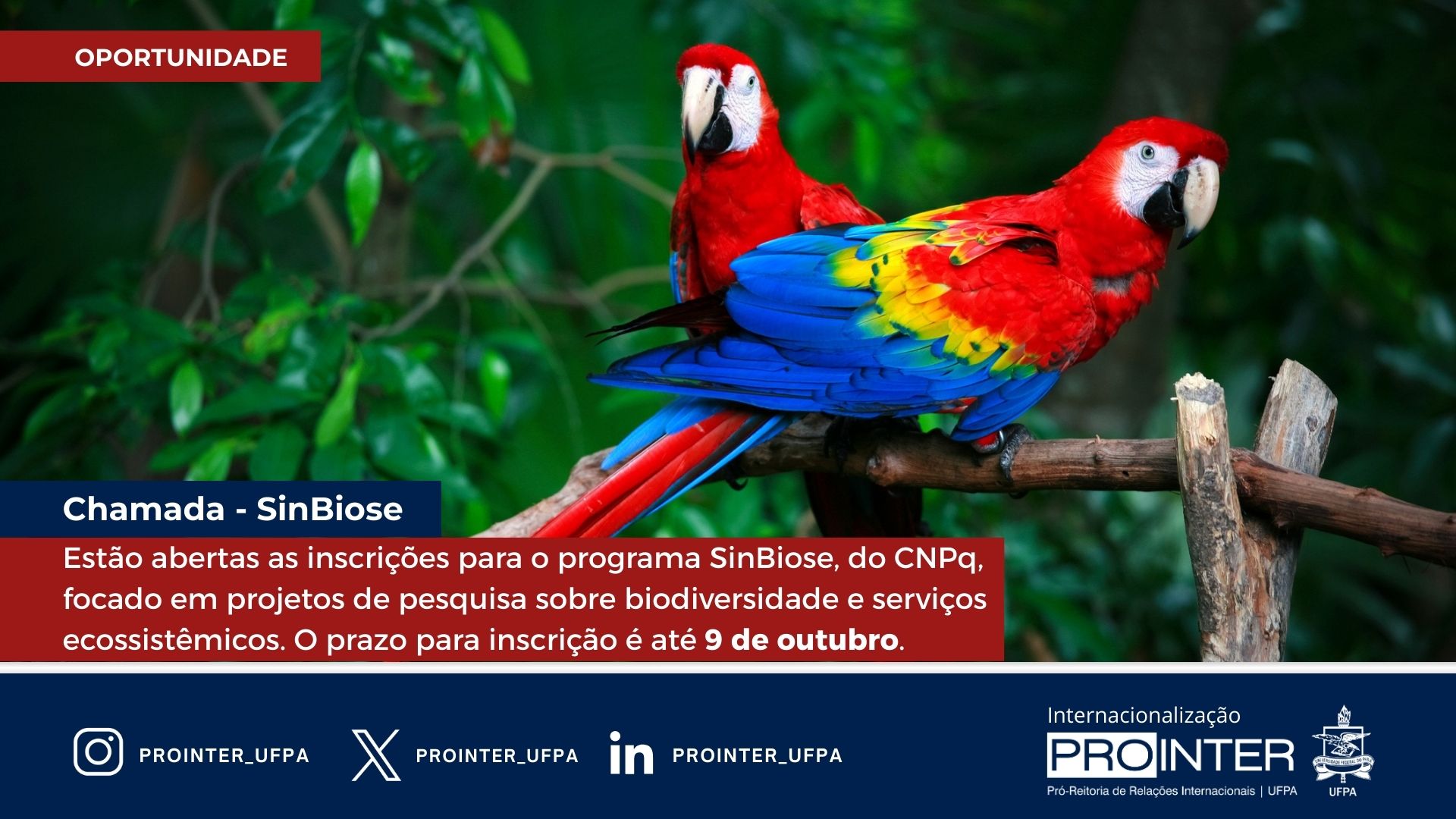 Inscrições Abertas - SinBiose