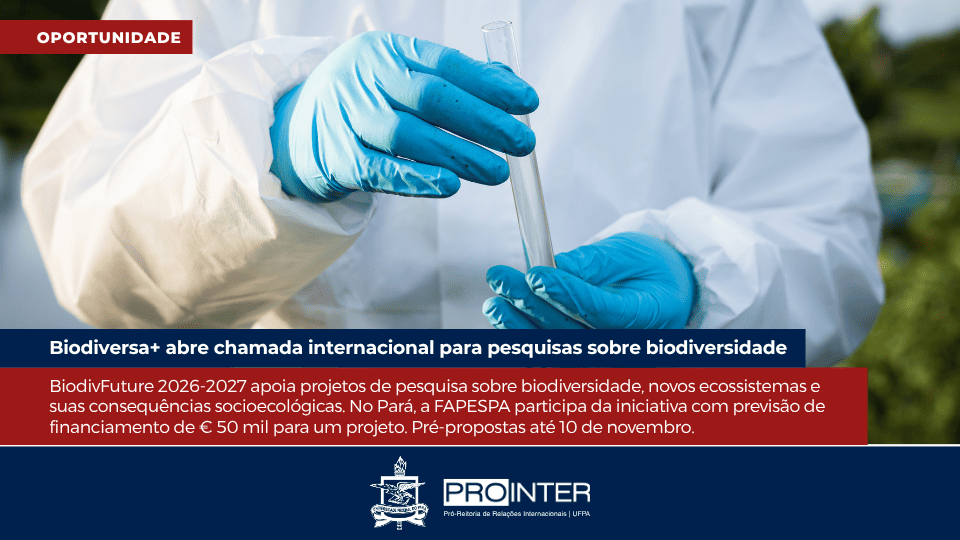 Foto da galeria de imagens: sem descrição informada.