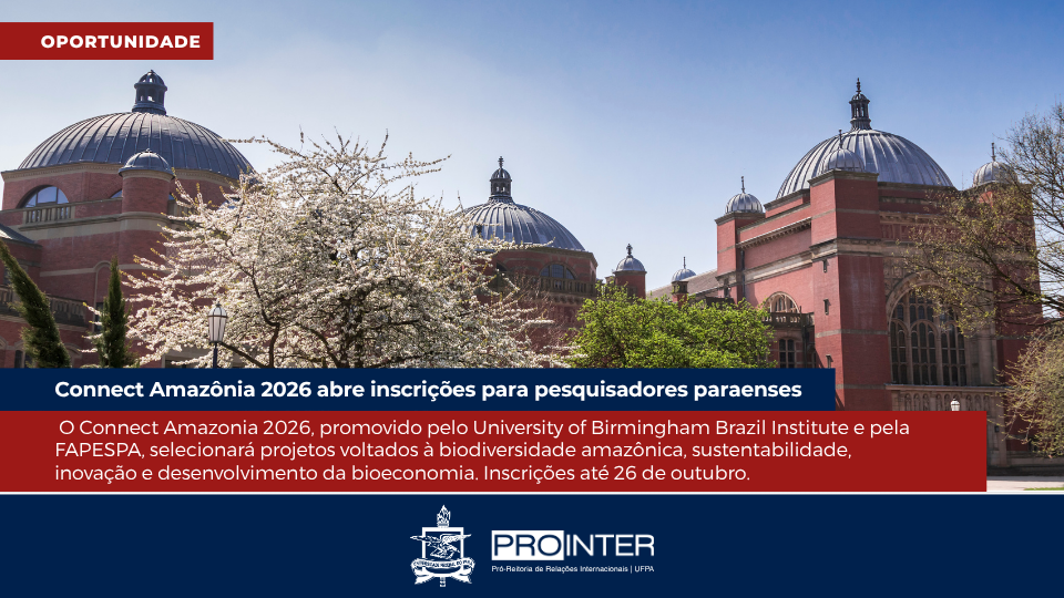 Foto da galeria de imagens: sem descrição informada.