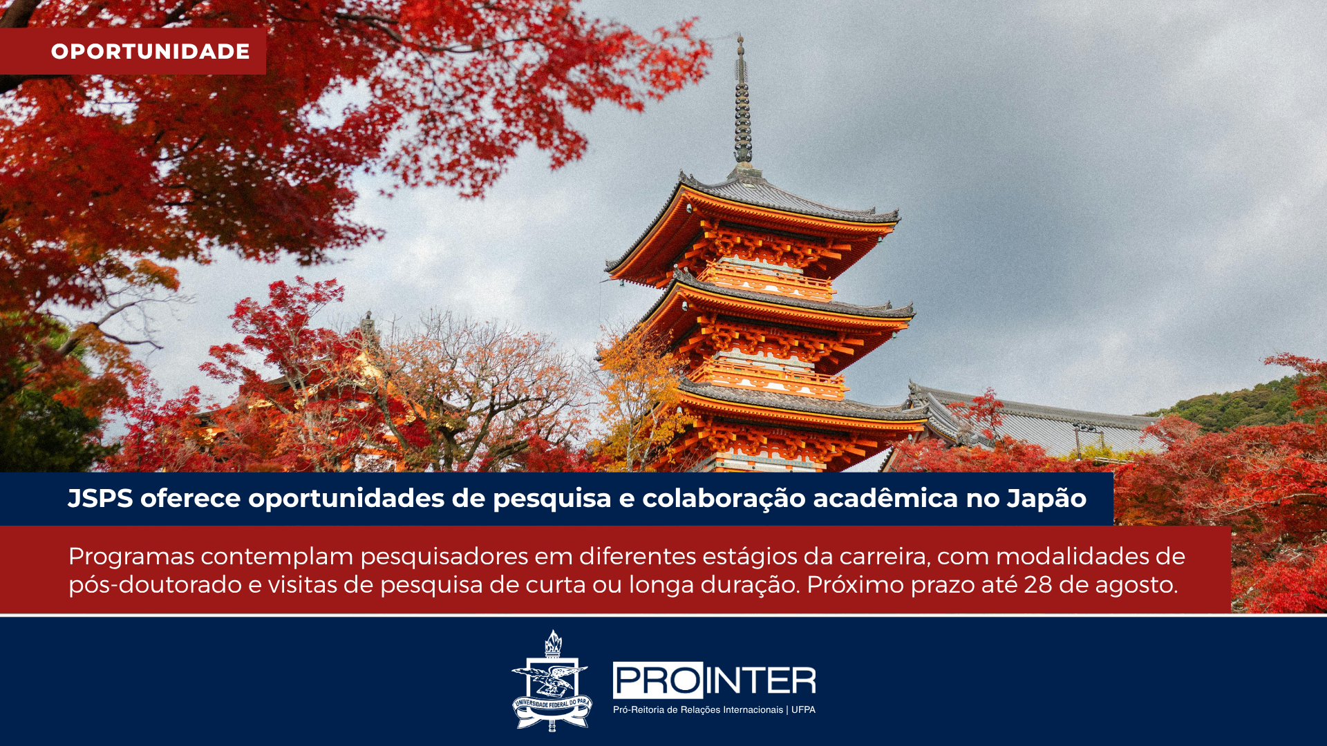 Foto da galeria de imagens: sem descrição informada.